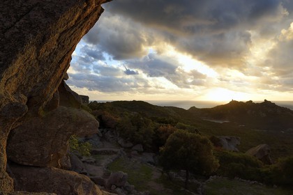 France, Corse du Sud, Cala de Roccapina natural site, genoese tower and Lion rock