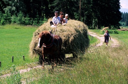 Pologne, Petite Pologne, famille de paysans de retour des foins sur leur chariot vers le village de Debno