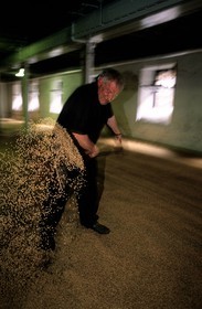 Royaume-Uni, Ecosse, îles Orcades, distillerie de whisky Highland Park, plancher de maltage