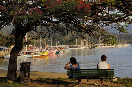 Brésil,  Etat de Rio de Janeiro, Paraty, ville coloniale fondée en 1667 pour exporter l'or brésilien, flamboyant (Caesalpinia pulcherrima) en bordure du petit port (Route de l'or, Estrada Real)