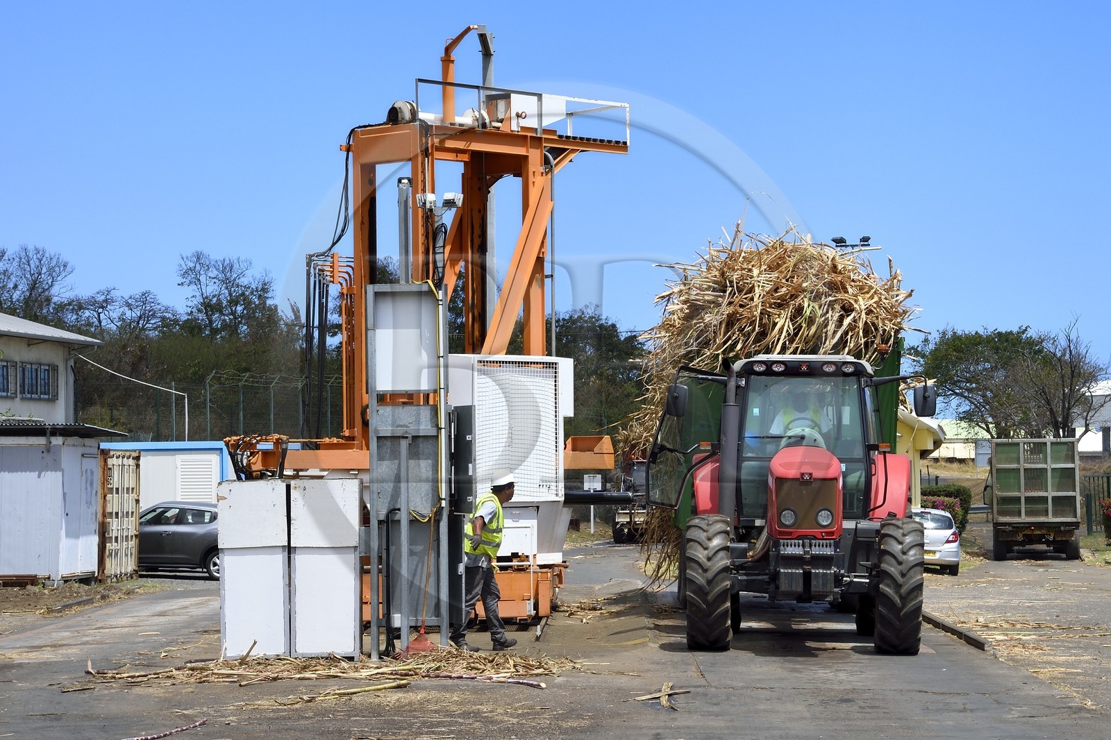 France, Ile de la Reunion, Saint-Louis, l'usine sucrière du Gol, arrivée des chargements de canne à sucre dans les cachalots (camions ou remorques), pesée et carottage du chargement