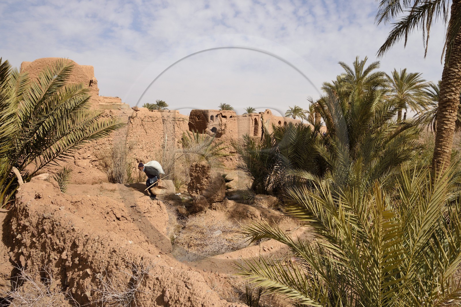 Iran, Province d'Ispahan, désert du Dasht-e Kavir, l'oasis d'Arousan dans la région de Khur et Biabanak, paysan rentrant du champ et maisons en terre crue