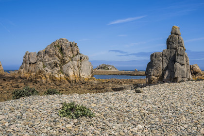 France, Côtes-d'Armor (22), Côte d'Ajoncs, Plougrescant, la plage de Pors (Porz) Scaff à marée basse