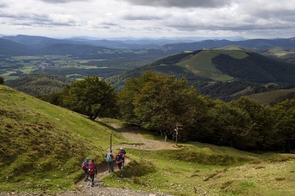 Spain, Basque Country, Navarra, Camino de Santiago (the Way of St. James) going down towards Roncevaux