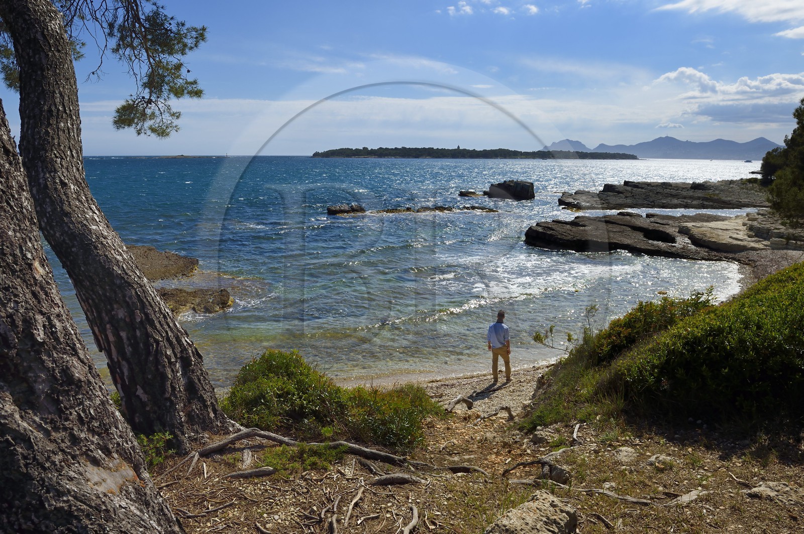 France, Alpes-Maritimes (06), Cannes, Iles de Lérins, Ile Sainte-Marguerite, la côte sud fait face à l'Ile de Saint-Honorat, le massif de l'Esterel en arrière plan