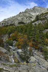France, Haute-Corse (2B), Vivario, GR 20, étape entre le refuge de l'Onda et Vizzavona, foret de Vizzavona, les cascades des anglais, groupe de cascades dans la vallée de l'Agnone au pied du Monte d'Oro