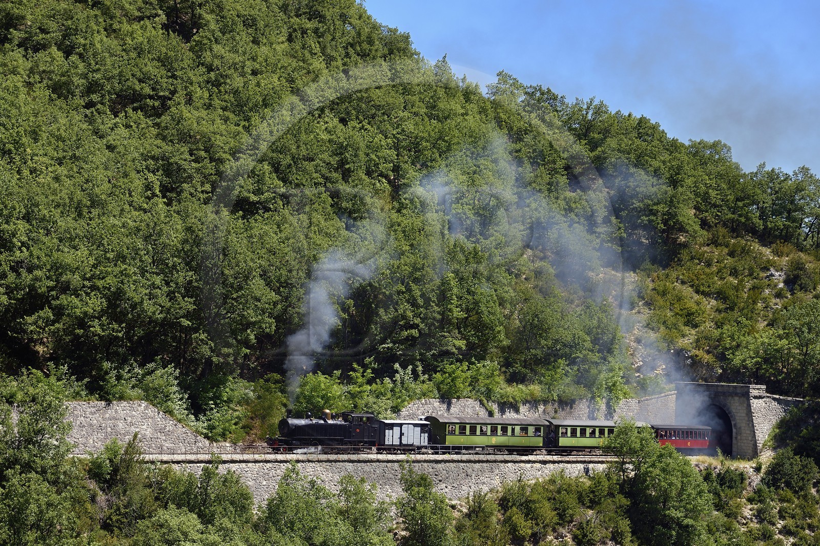 France, Alpes-Maritimes, Alpes de Haute Provence, les scaffarels around Annot, Train des Pignes historic train emerging from a tunnel