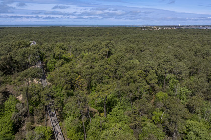 France, Vendée (85), La Barre-de-Monts, belvédère du Pey de la Blet, l'escalier dans le ciel au coeur de la forêt, le pont menant à l'Ile de Noirmoutier en arrière plan (vue aérienne)