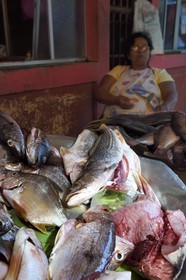 Nicaragua, Leon, marché du quartier de Sutiaba, poissons corvina