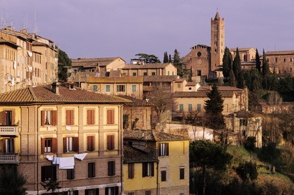 Italie, Toscane, Sienne, Santa Maria dei Servi