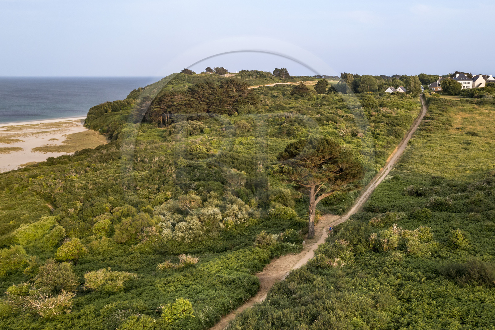 France, Morbihan, Groix Island, path along Grands Sables beach (aerial view)
