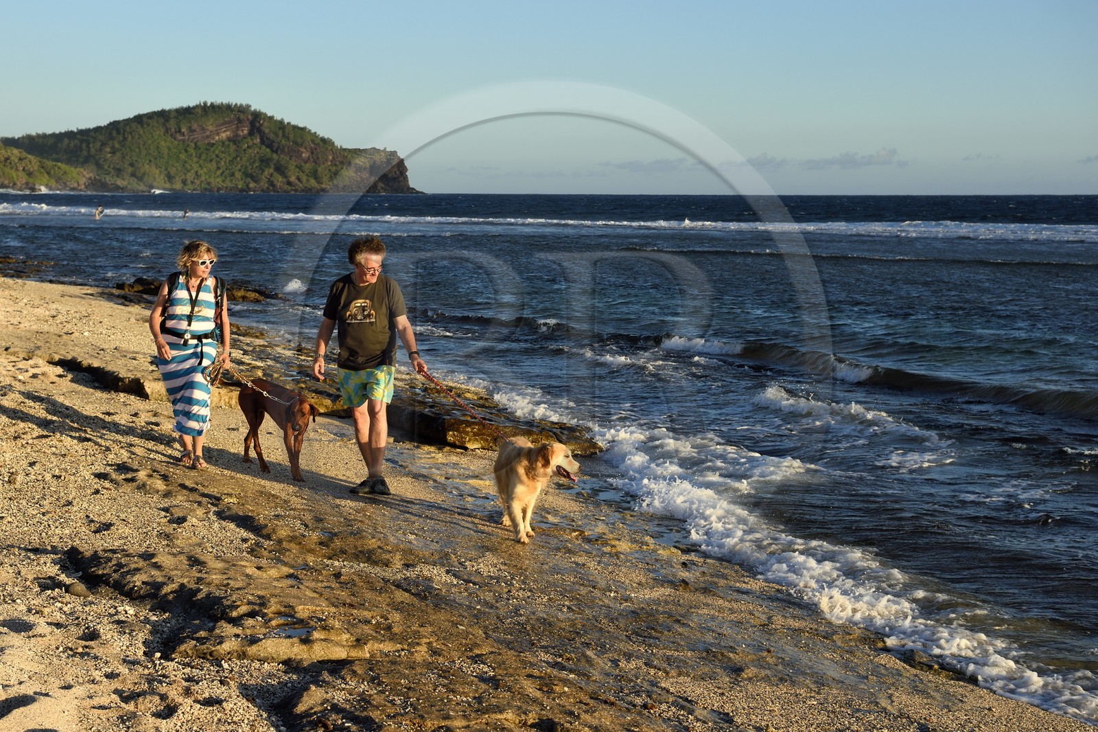 France, Ile de la Reunion, côte sud, couple de promeneurs avec leurs chiens sur la plage de Petite-Ile