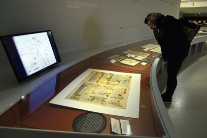 France, Charente (16), Angoulême, Cité internationale de la bande dessinée et de l’image (CIBDI), le musée de la BD dans les anciens chais Magélis, planche de Little Nemo de Windsor McCay (1906)