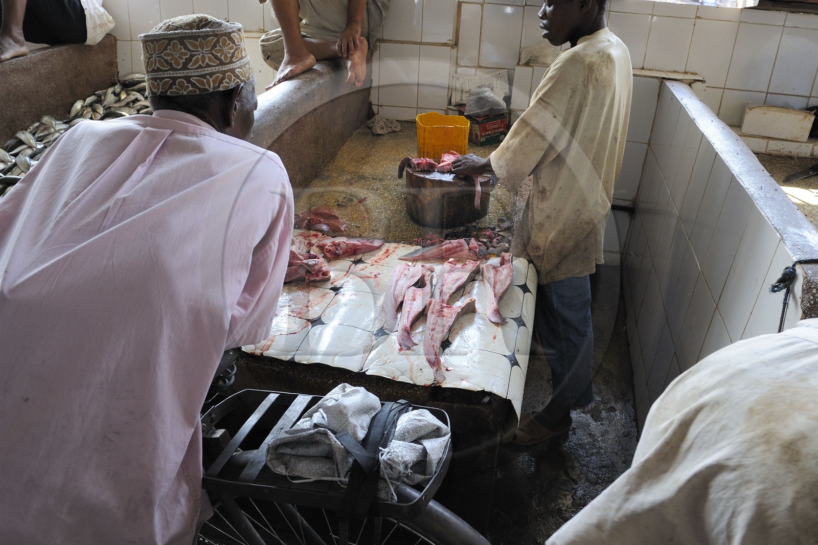 Tanzania, Zanzibar, Stown Town, Darajani market, fish market