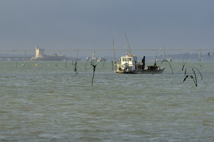 France, Charente-Maritime (17), le bassin Marrennes-Oléron au large de l'Ile d'Oléron, chaland dans les parcs à huîtres