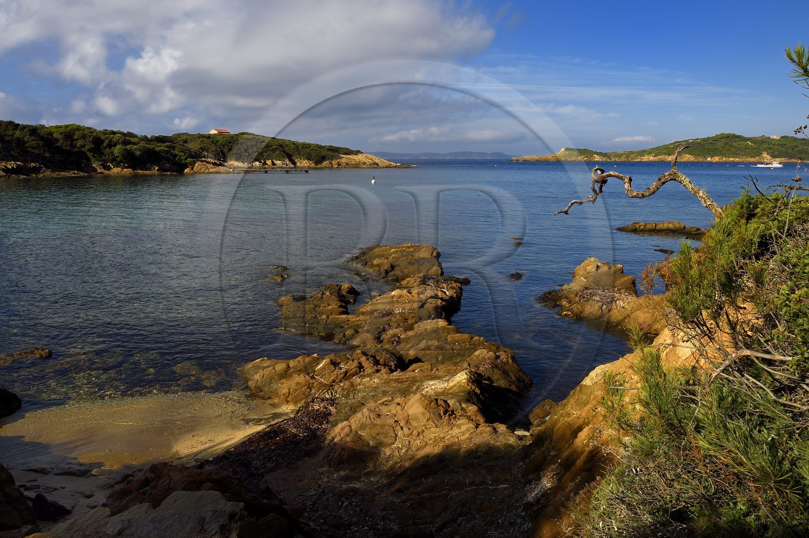 France, Var (83), Iles d'Hyères, parc national de Port Cros, Ile de Port-Cros, plage du Sud