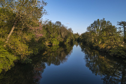 France, Charente (16), Saint-Simon, La Charente encore très nature en amont du village et l'ancien chemin de halage devenu aujourd'hui la véloroute la Flow Vélo sur la droite(vue aérienne)