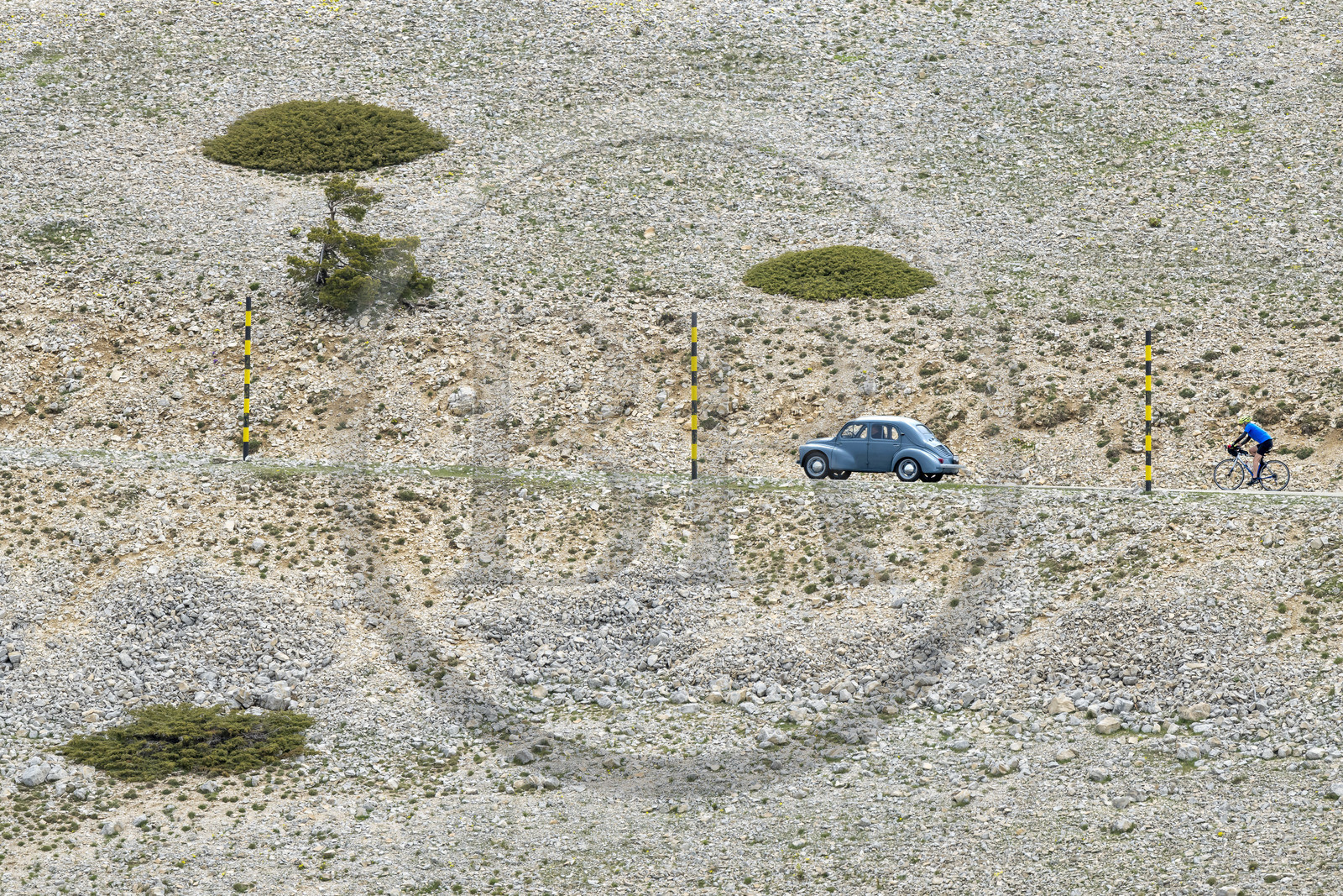 France, Vaucluse (84), Parc Naturel Régional du Mont Ventoux, Bedoin, ascension à vélo du Mont Ventoux par la route D974 sur le versant sud vers le sommet et Renault 4CV des années 1960