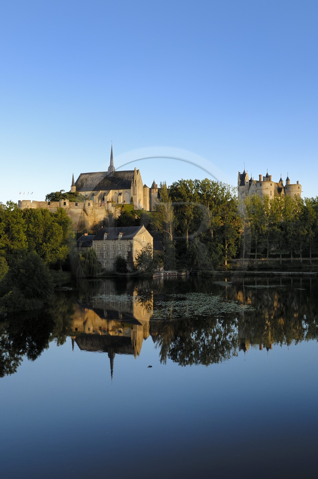 France, Maine et Loire (49), château de Montreuil-Bellay