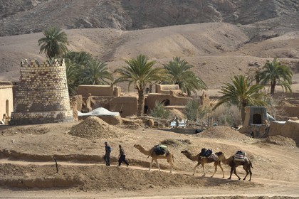 Iran, Isfahan province, Dasht-e Kavir desert, the oasis of Arousan in Khur and Biabanak County