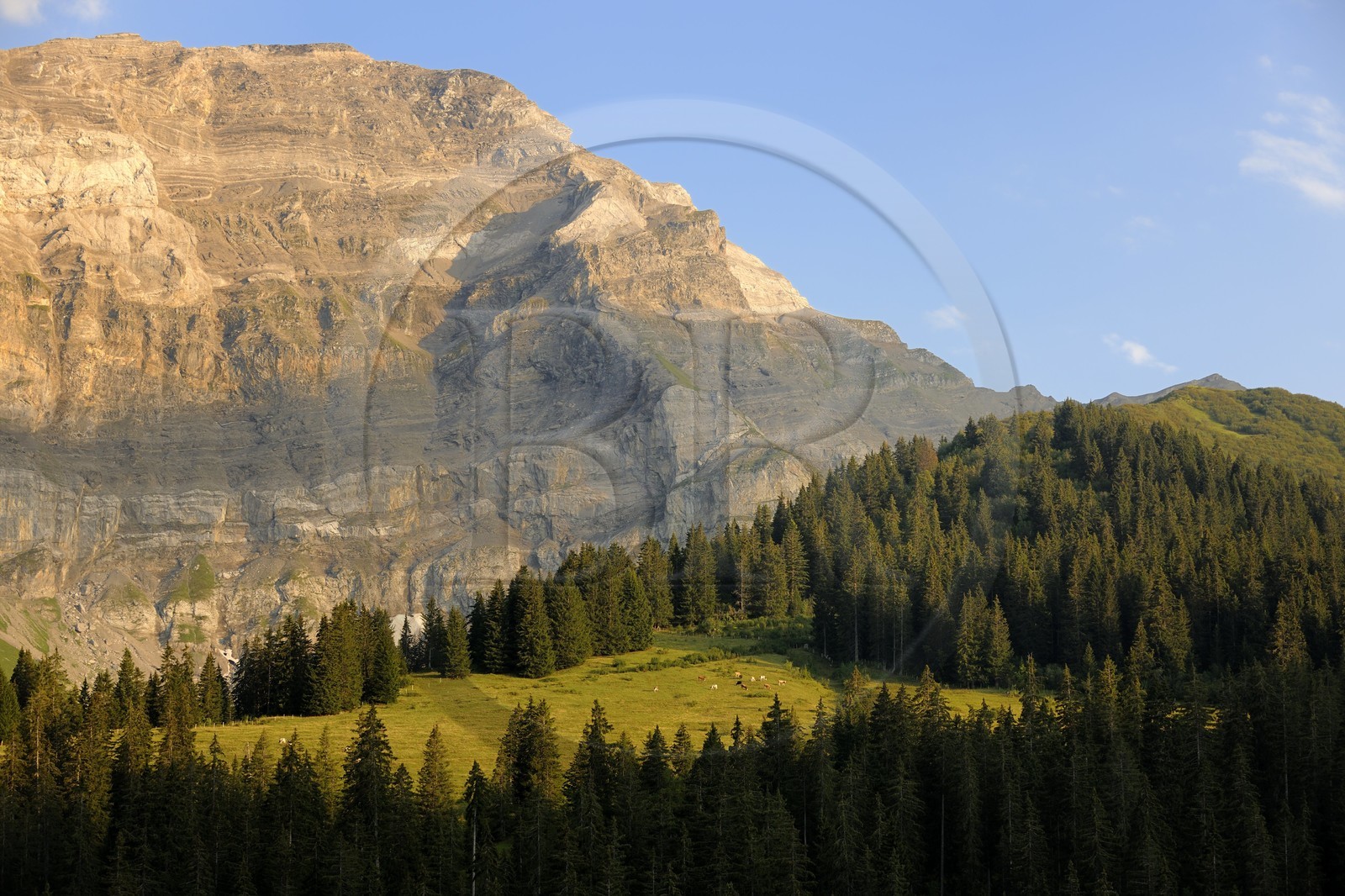 Suisse, canton de Vaud, Les Diablerets au Col de la Croix