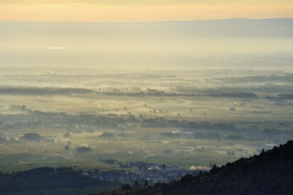 France, Bas-Rhin (67), vue depuis le Mont Saint-Odile, la plaine d'Alsace et la Forêt Noire en arrière plan