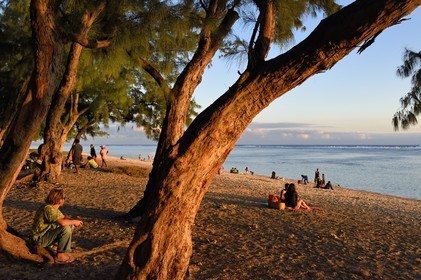 France, île de la Réunion, la Cote Ouest, plage du lagon de Saint-Gilles-Les-Bains à l'Ermitage-les-Bains, à l'ombre des filaos