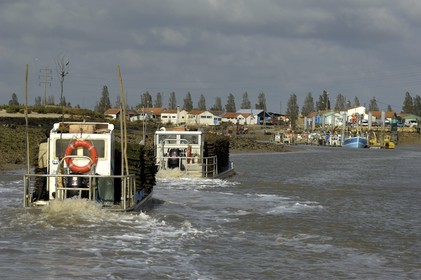 France, Charente-Maritime (17), Ile d'Oléron, le chenal d'Ors, chaland à huîtres dans le port ostréicole