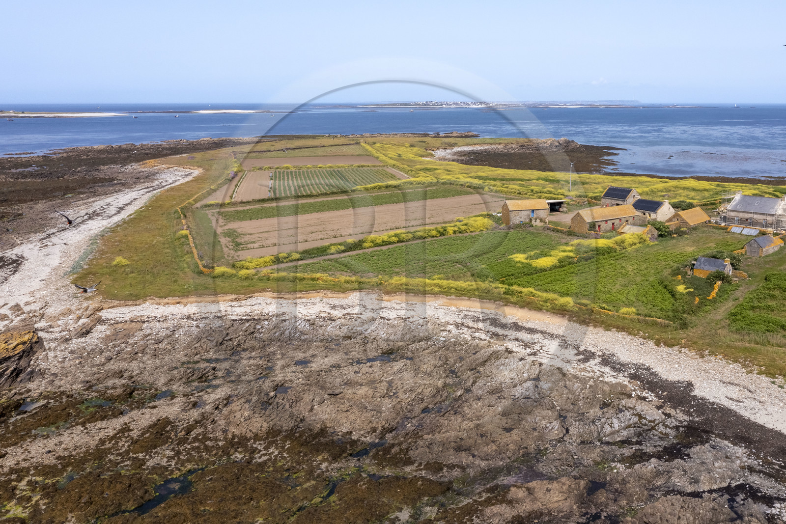 France, Finistère (29), Mer d'Iroise, archipel de Molène, Ile de Quéménès, ferme de Quéménès bio et autonome en énergie (vue aérienne)
