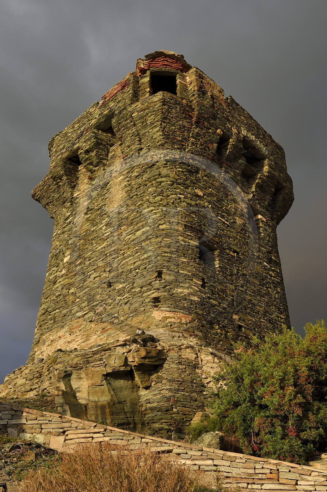 France, Haute-Corse (2B), Cap Corse, Nonza, la Tour paoline (Torra paolina)