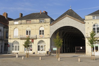 France, Indre-et-Loire (37), ville de Richelieu, place du marché, les Halles