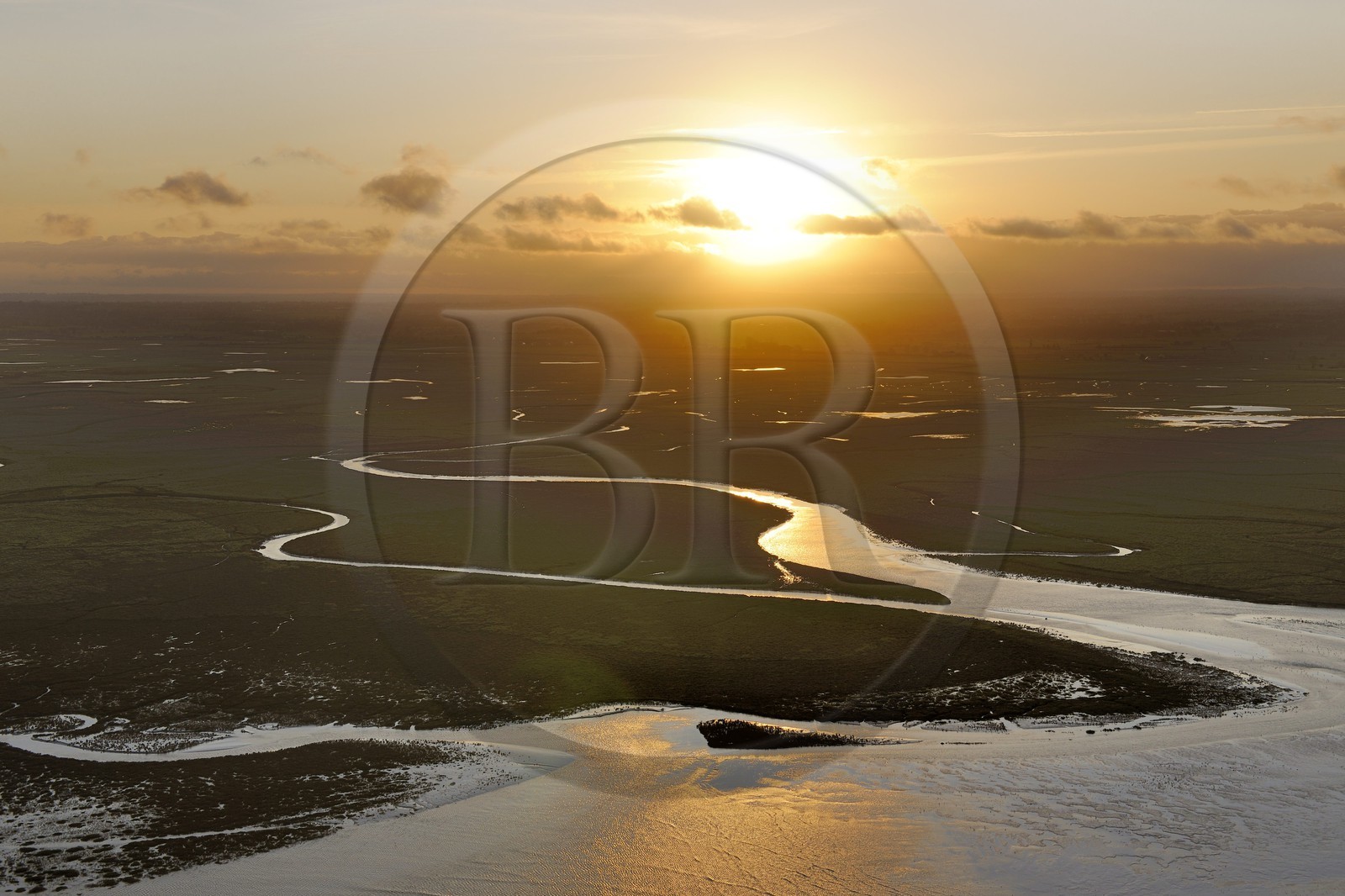 France, Manche, tide going up in the salt marshes of the Mont Saint Michel at dawn