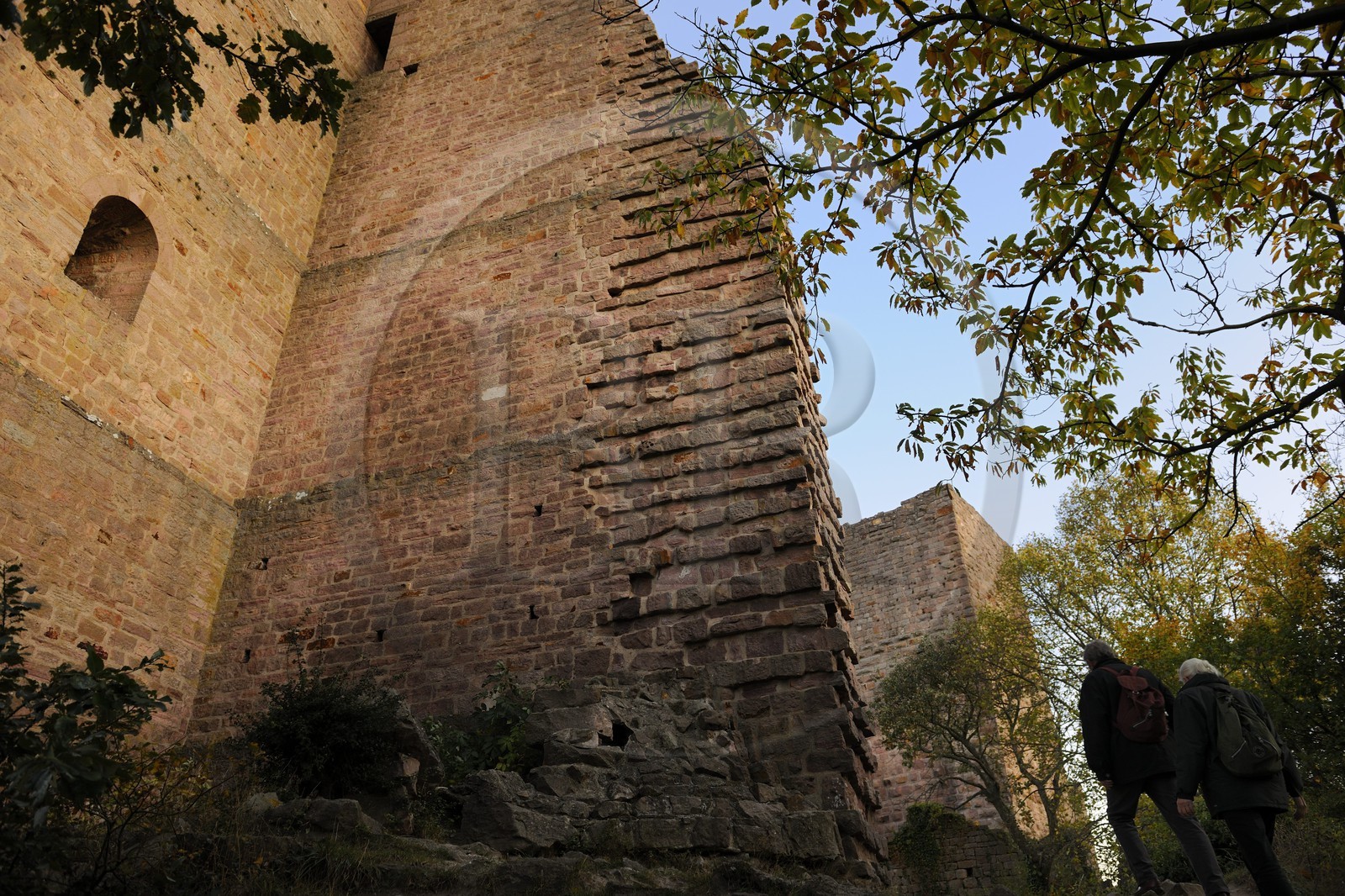 France, Haut-Rhin (68), les trois donjons d'Eguisheim dans le massif des Vosges