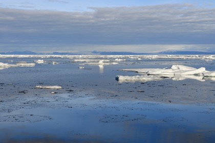 Groenland, cote Nord-Ouest, Smith sound au nord de la baie de Baffin, morceaux de glace de la banquise arctique en train de fondre (frasil au premier plan) et la côte canadienne de l'ile d'Ellesmere en arrière plan