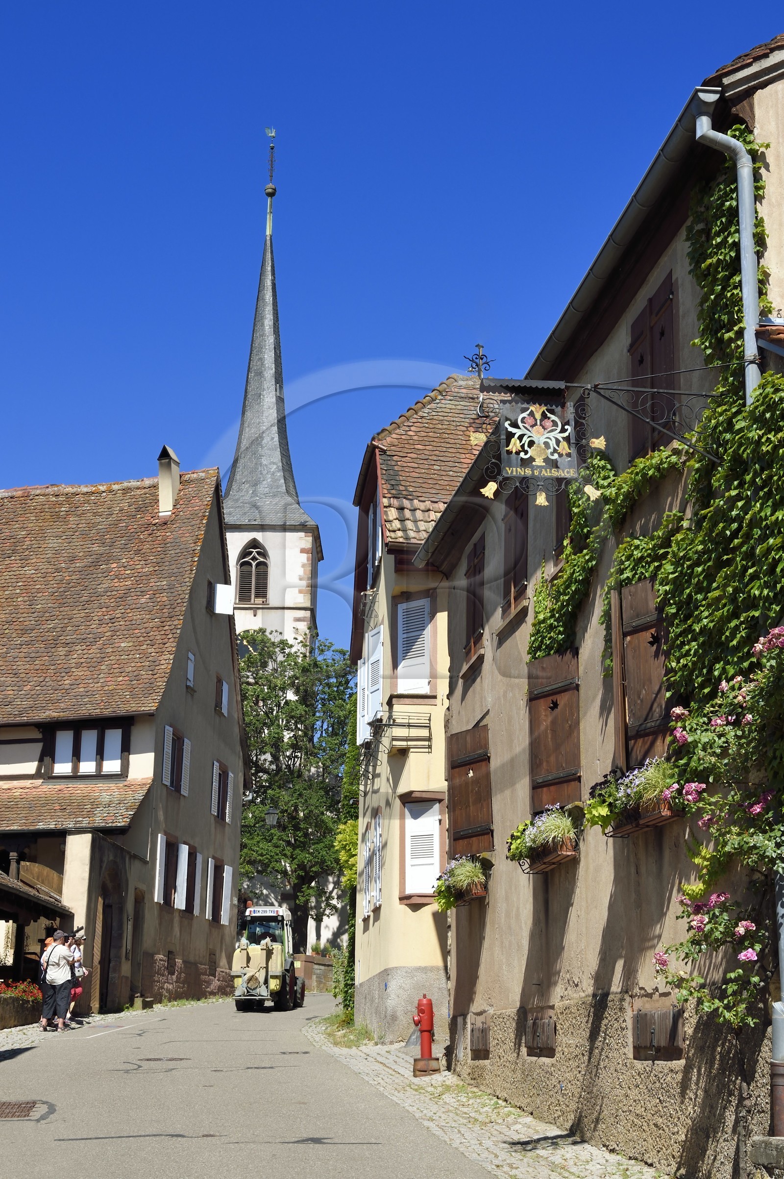 France, Bas-Rhin (67), Route des vins d'Alsace, Mittelbergheim, labellisé Les Plus Beaux Villages de France, la rue principale