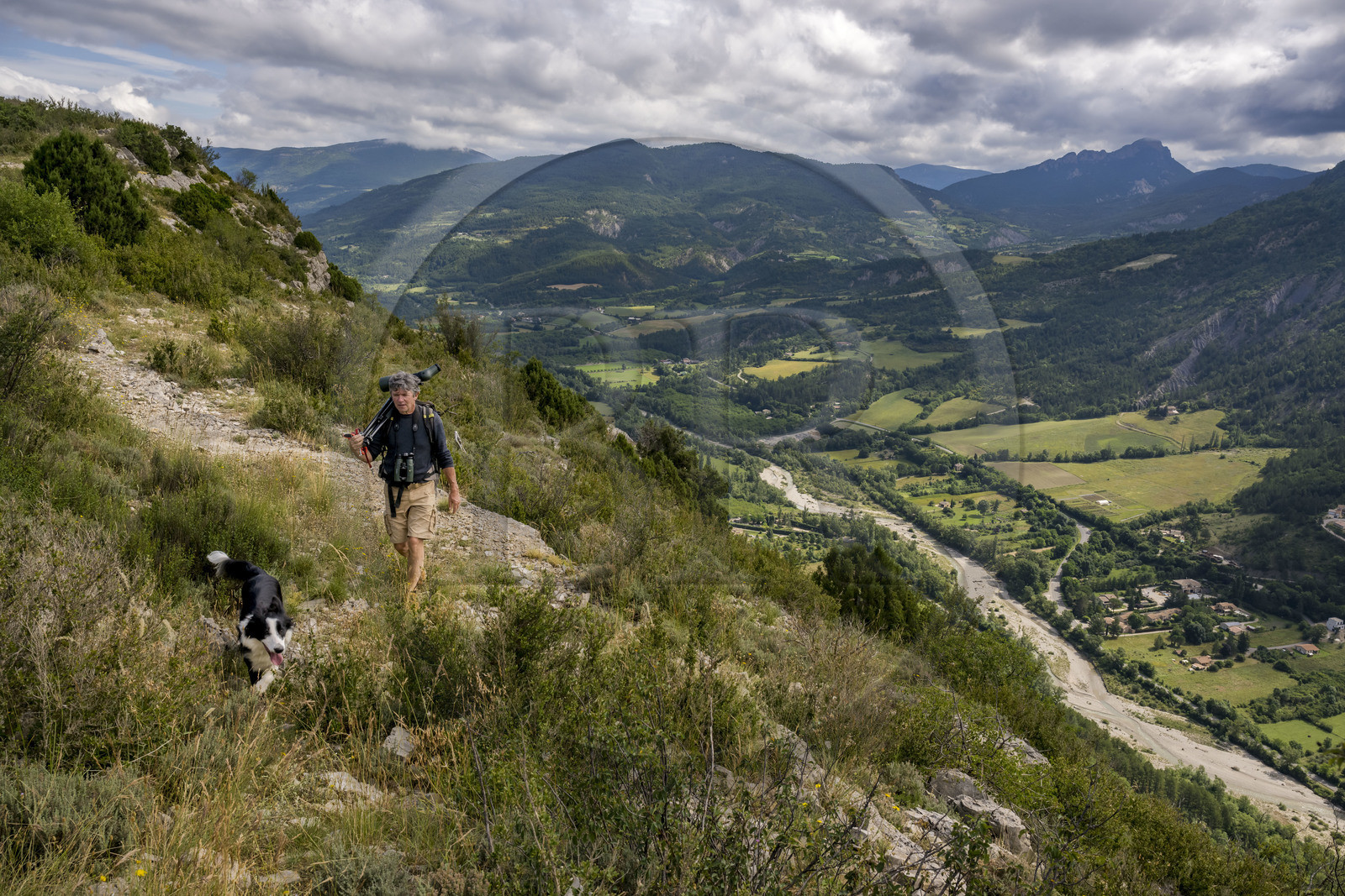France, Drôme (26), parc naturel régional des Baronnies provençales, Rémuzat, Christian Tessier, directeur de l'association Vautours en Baronnies, part observer des vautours fauves sur le plateau Saint-Laurent longue vue sur l’épaule au dessus de la vallée de l'Oule