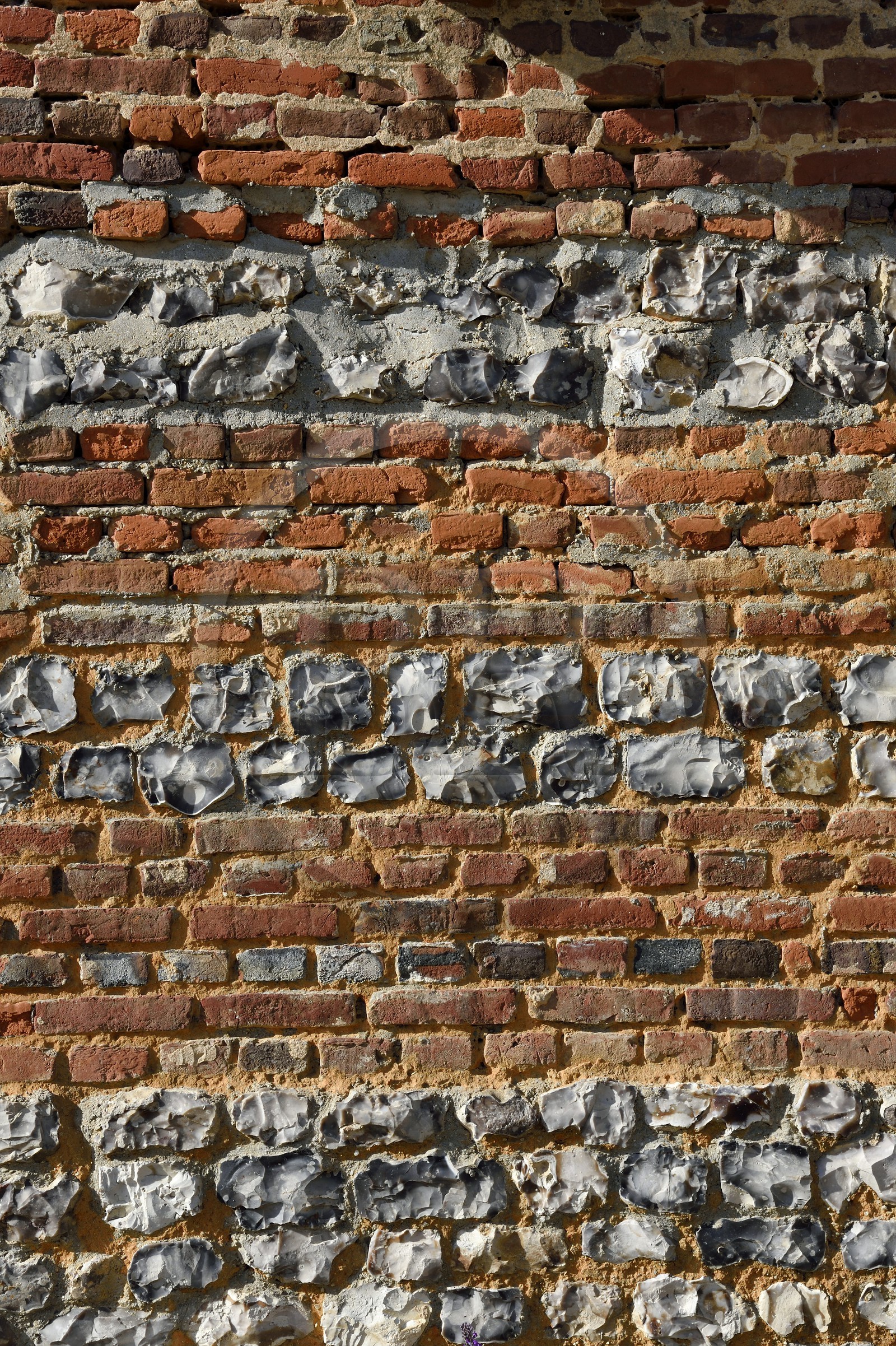 France, Seine-Maritime (76), Pays de Caux, Amfreville-les-Champs, la ferme Au Fil des Saisons et écomusée du lin, mur de brique et pierre de silex