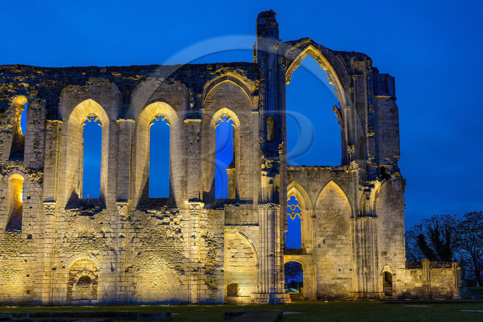 France, Vendée (85), Parc Interrégional du Marais Poitevin labellisé Grand Site de France, Maillezais, vestiges de l'abbaye Saint-Pierre de Maillezais