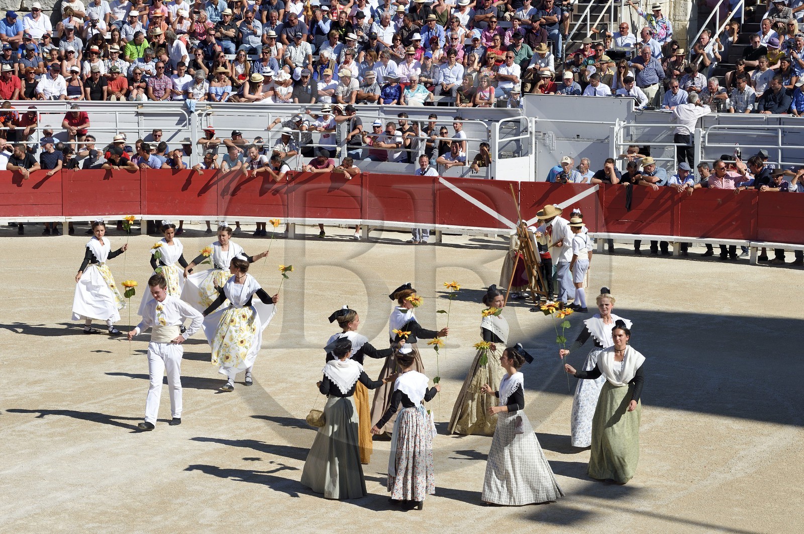 France, Bouches-du-Rhône (13), Arles, spectacle précédant la course camarguaise  de la Cocarde d'Or aux Arènes