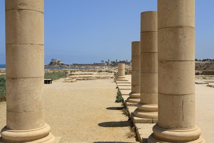 Israël, district d'Haifa, Césarée (Caesarea Maritima), ruines de Césarée, colonnes de l'époque romaine et byzantine de la cour péristyle du  Palais d'Hérode 1er Le Grand