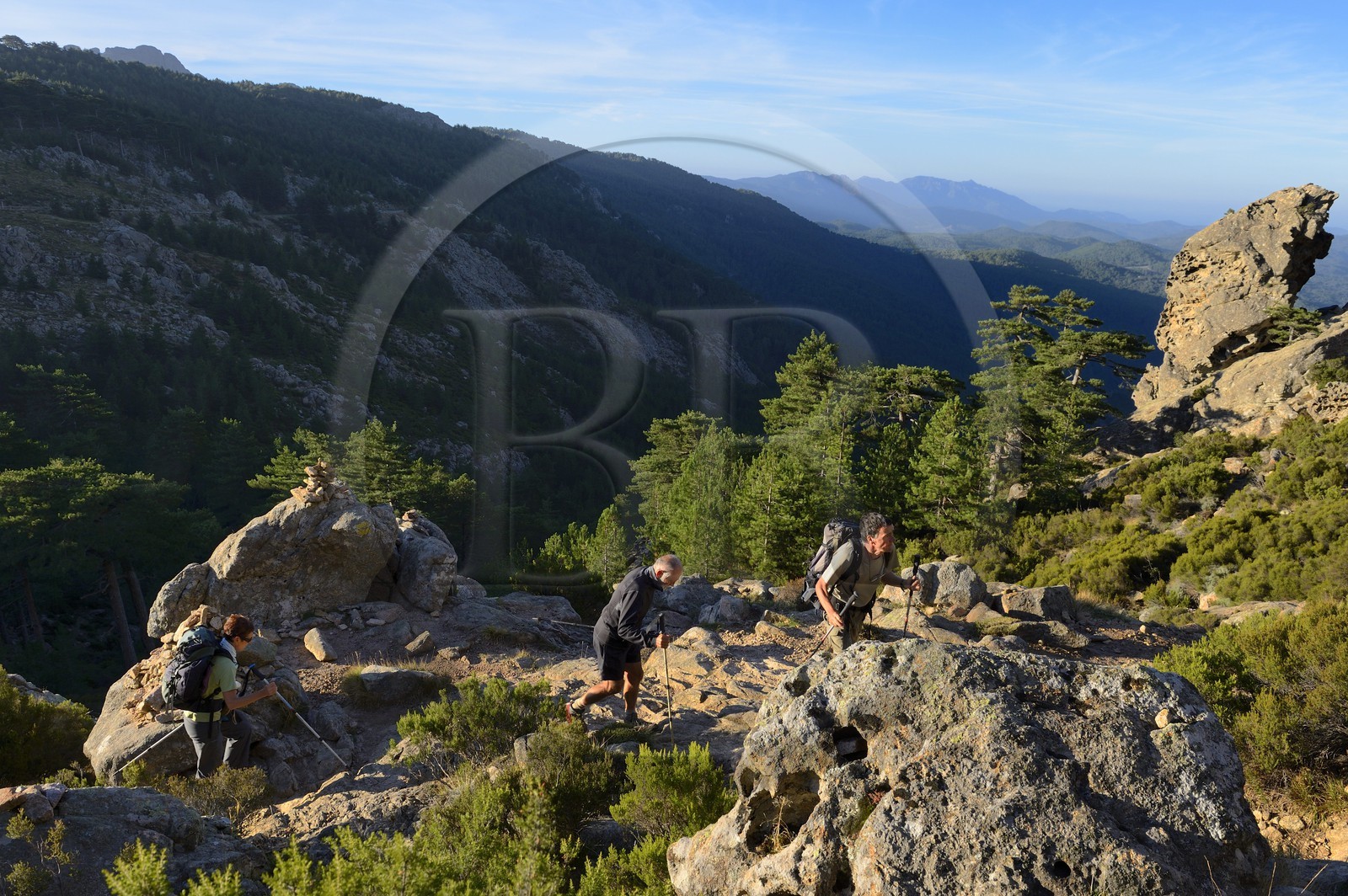 France, Corse-du-Sud (2A), Alta Rocca, Aiguilles de Bavella, randonneurs sur la variante alpine de l'étape du GR 20