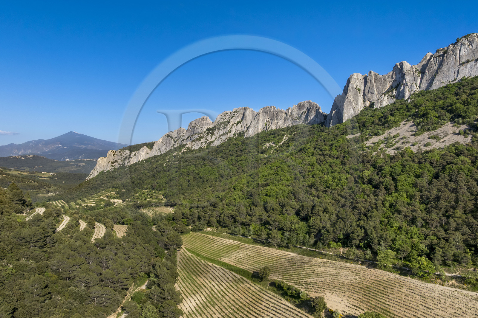France, Vaucluse (84), Dentelles de Montmirail, Gigondas, la montagne des Dentelles Sarrasines et les vignobles en restanques au col du Cayron, le Mont Ventoux en arrière plan (vue aérienne)