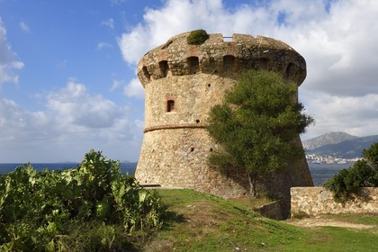 France, Corse du Sud, Gulf of Ajaccio, Capitello tower, near the Ricanto beach, Ajaccio in the background