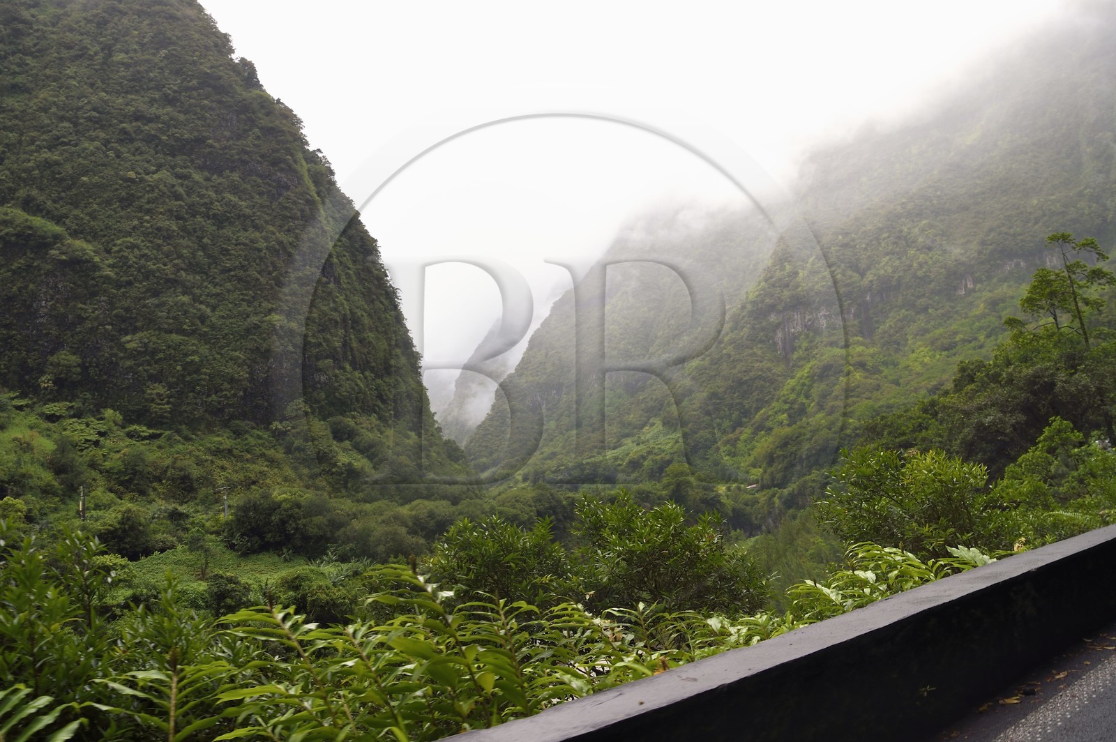 France, Ile de la Reunion, Cirque de Salazie, classé Patrimoine Mondial de l'UNESCO, entrée du cirque à la Rivière du Mat