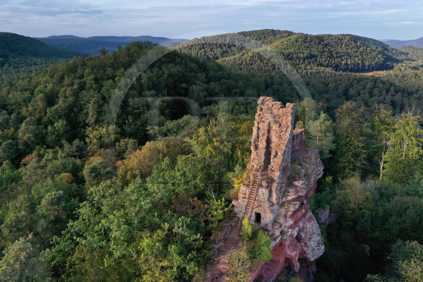 France, Bas-Rhin (67), Parc naturel r
