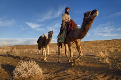 Iran, Province d'Ispahan, désert du Dasht-e Kavir, Mesr dans la région de Khur et Biabanak, chamelier montant un de ses dromadaires dans le désert au soleil couchant