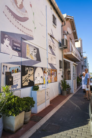 France, Hérault (34), Sète, Sète, quartier de la Pointe Courte, quartier de pecheurs sur les rives de l'étang de Thau, peinture murale hommage à Agnès Varda de l'artiste américaine Barbara Carrasco