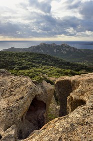 France, Corse du Sud, Cala de Roccapina natural site, genoese tower and Lion rock