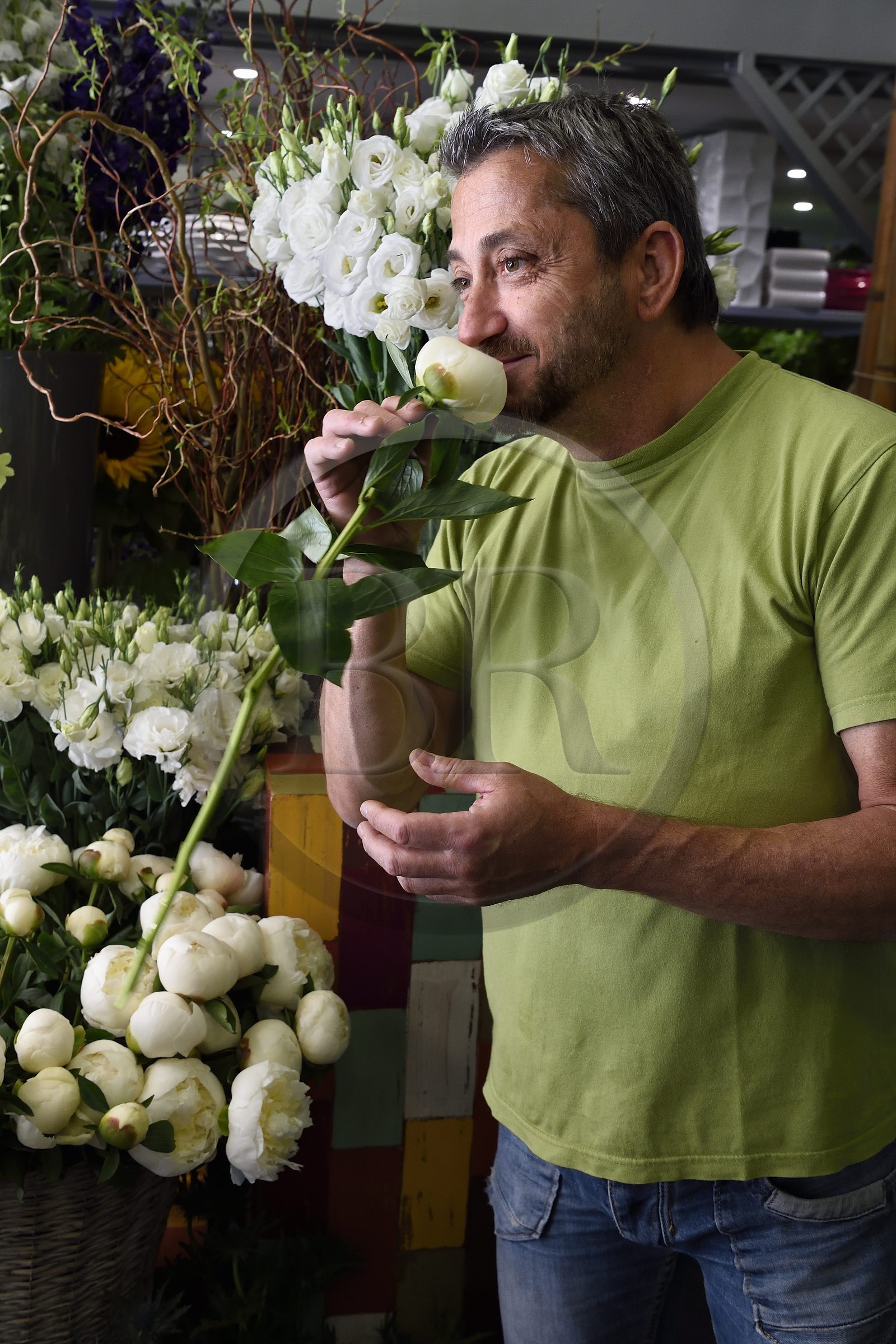 France, Alpes-Maritimes (06), Nice, le fleuriste Joseph Pinna tenant un pivoine blanc dans sa boutique Arc en ciel fleurs rue Barberis