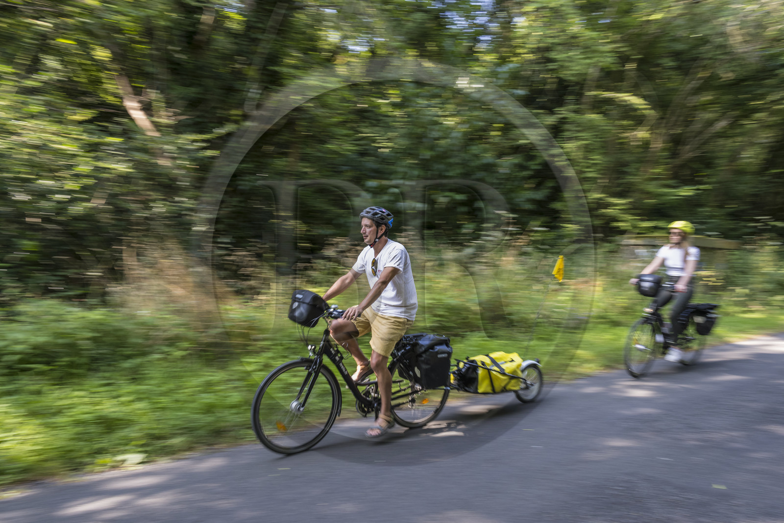 France, Maine-et-Loire, Loire valley listed as World Heritage by UNESCO, Saumur towards Saint-Hilaire, cycling on the banks of the Loire, bike with a trailer carrying camping equipment